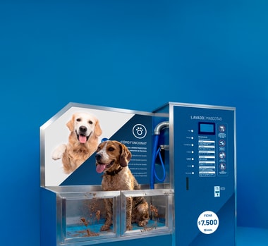 Copec expande su servicio de lavado para mascotas con 10 puntos  disponibles