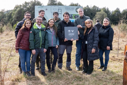 Cover Imagen Noticia: Inician construcción del primer Centro de Rescate de Fauna Silvestre en Reserva Huilo Huilo