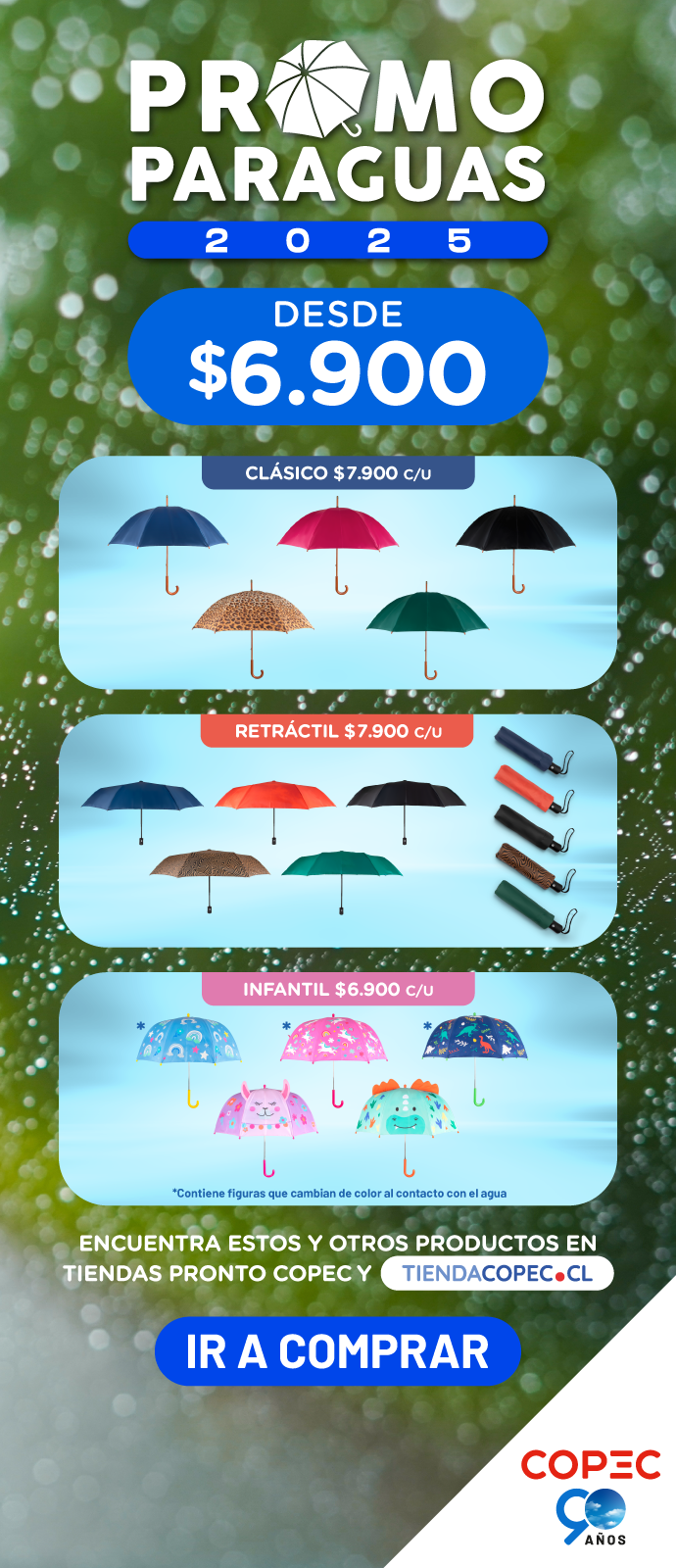 Promoción invierno