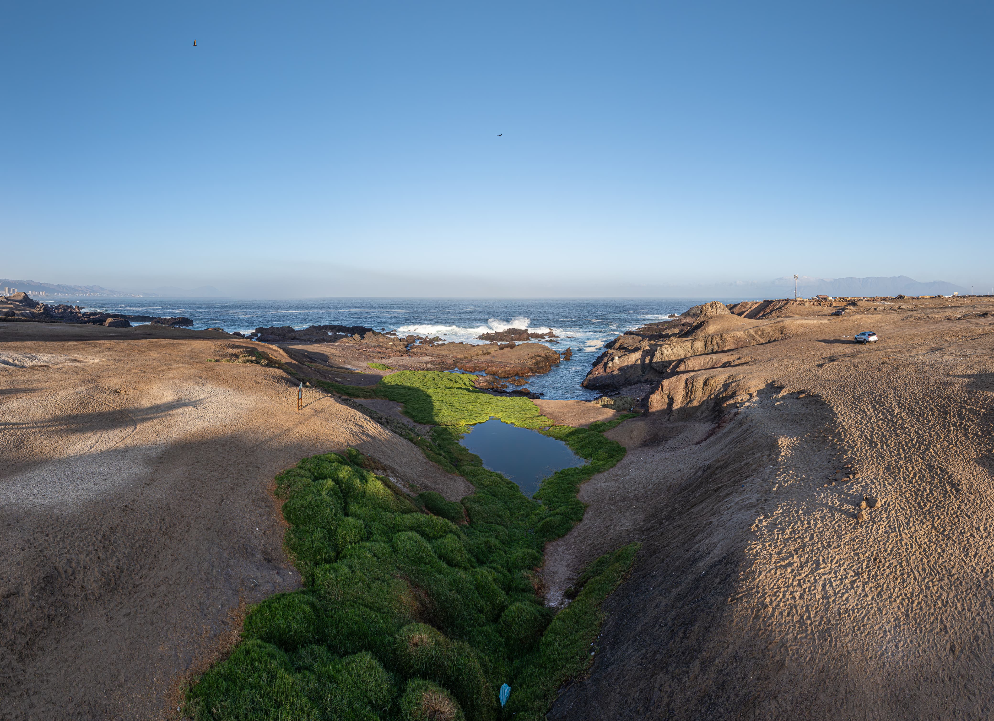 Humedal Aguada La Chimba de Antofagasta