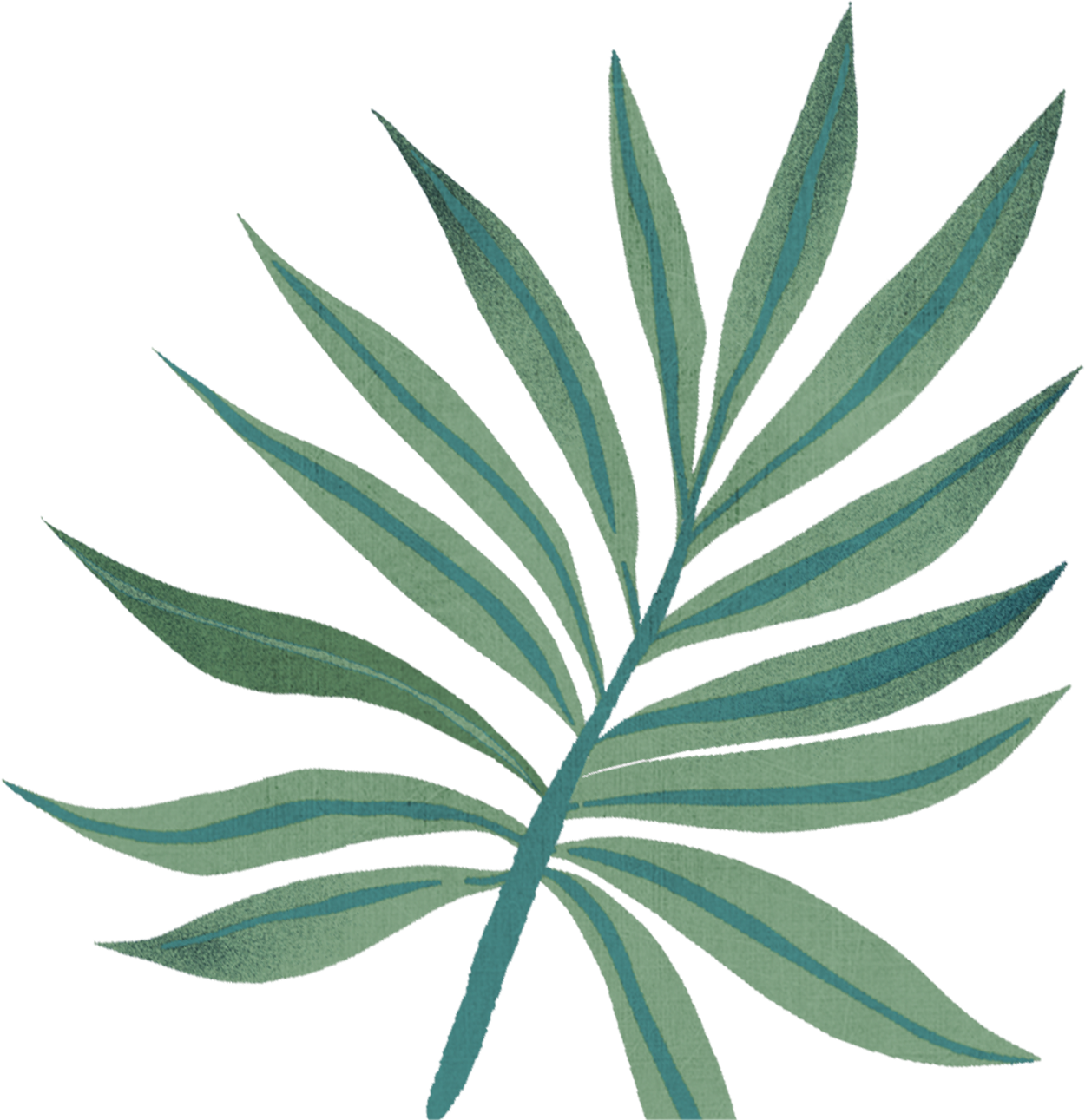 Hoja