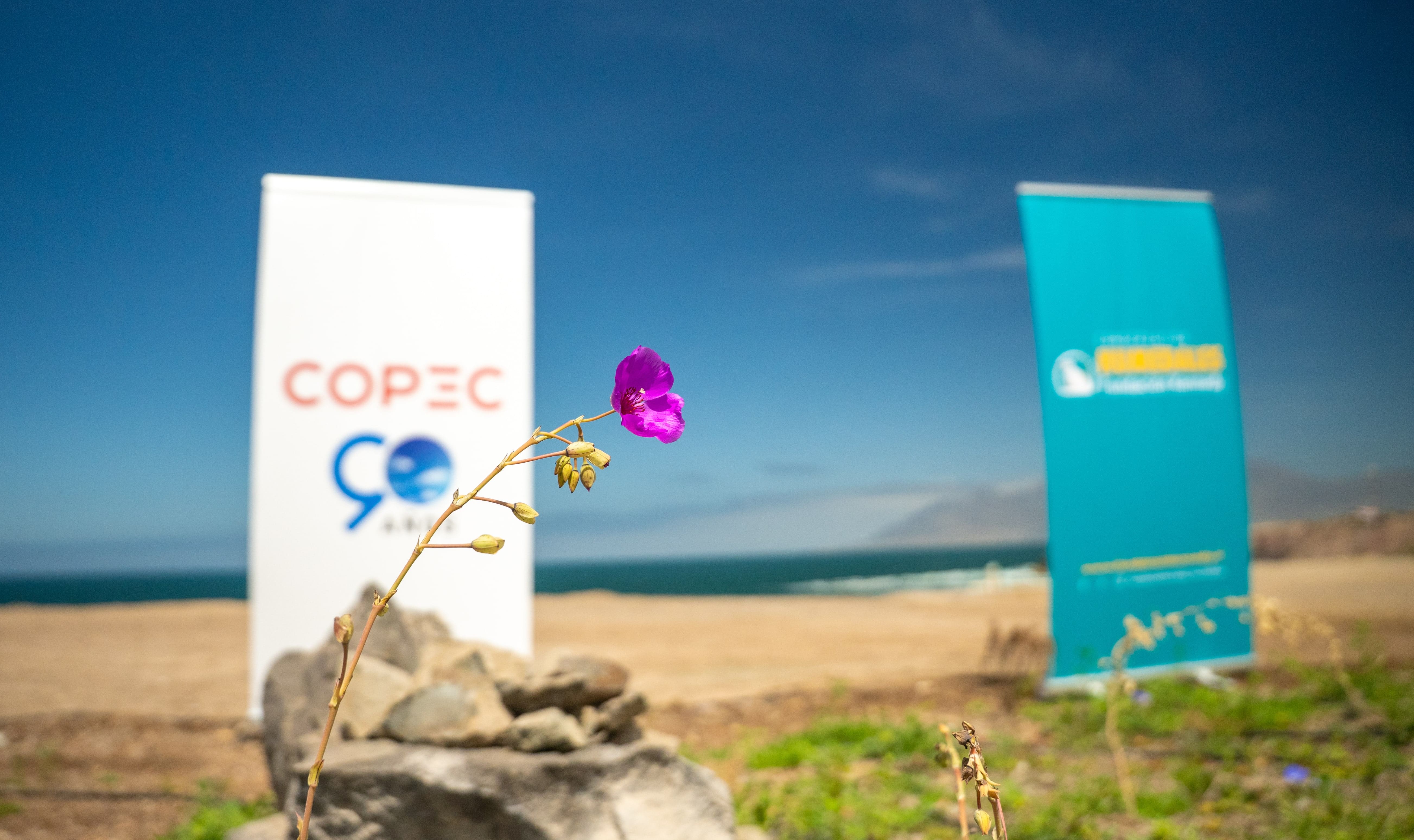  Humedal Aguada La Chimba 