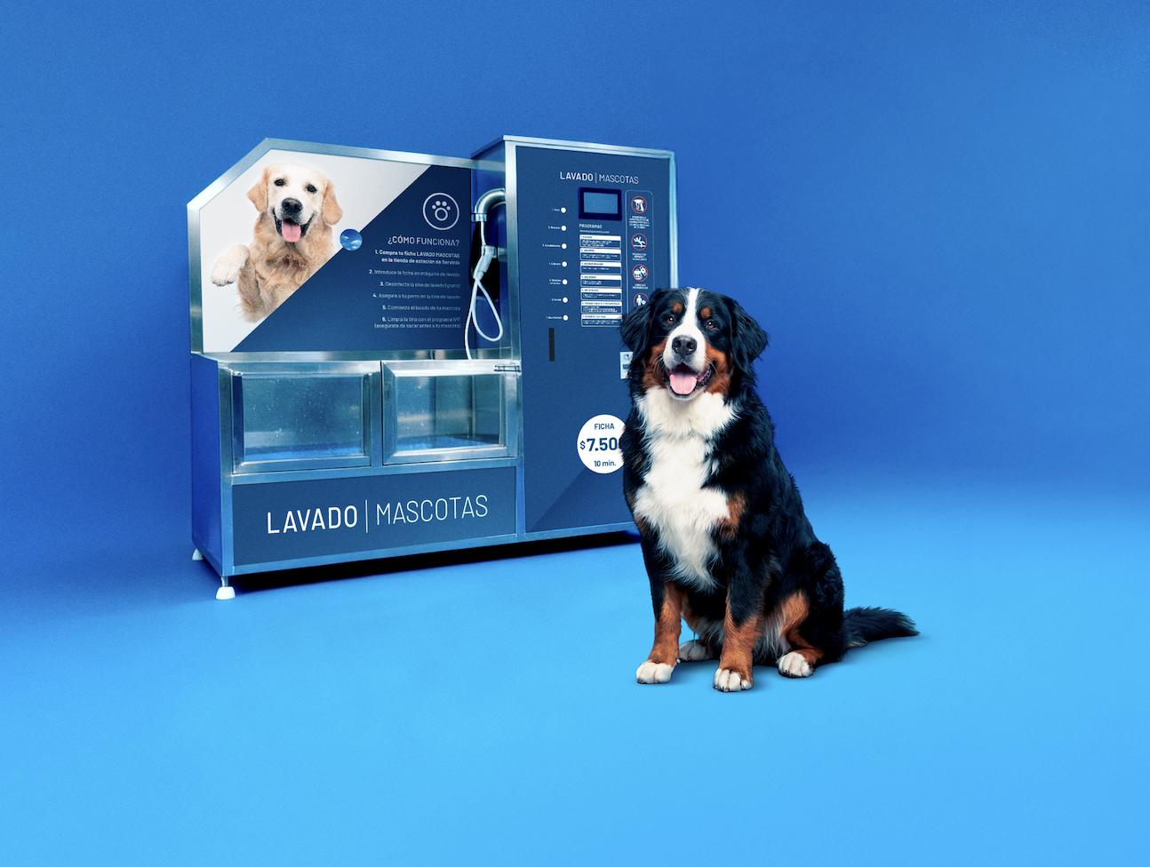 Energizando el transporte público del país