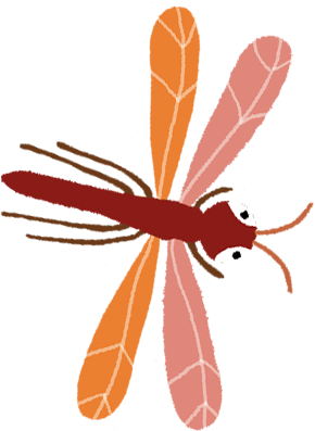 libelula