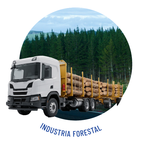 Industria forestal