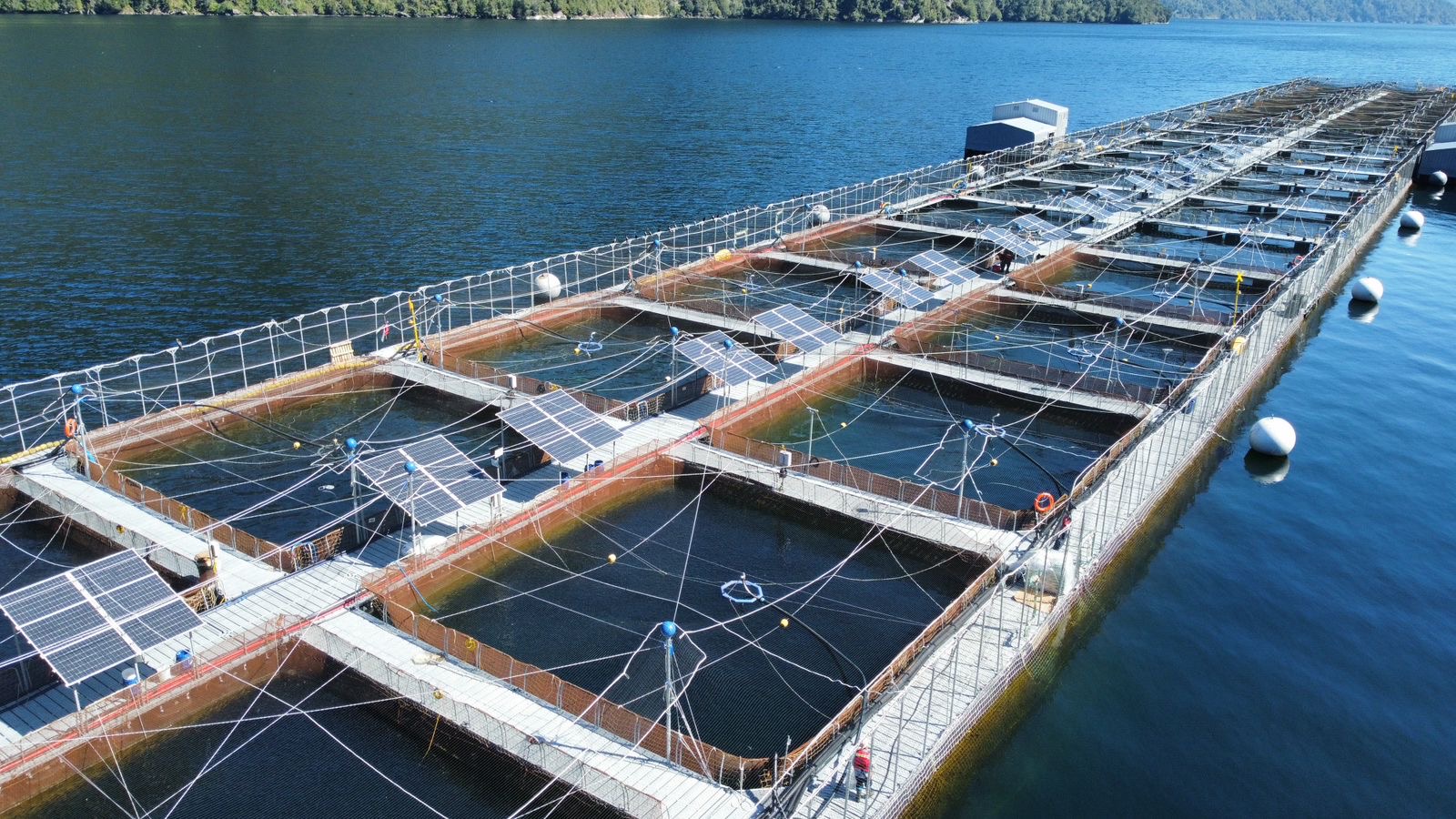 Copec, Luxmeter y Ventisqueros impulsan proyecto pionero de energía renovable para la industria salmonera