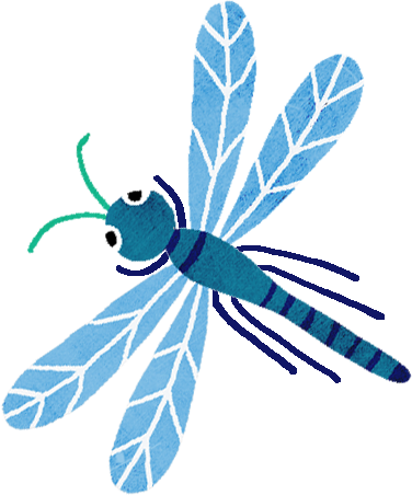 mariposa